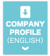 COMPANY PROFILE PDF